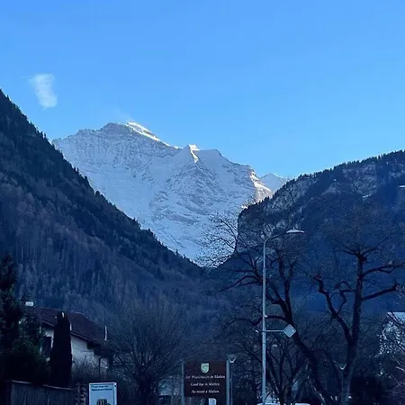 Nenek's - Explore Interlaken & Alps Apartamento *
